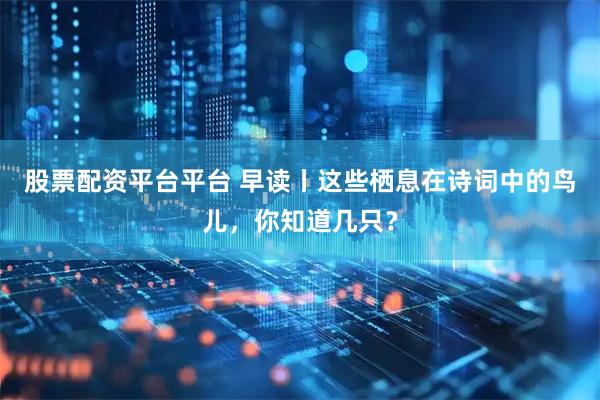股票配资平台平台 早读丨这些栖息在诗词中的鸟儿，你知道几只？